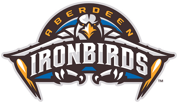 Aberdeen IronBirds 2013-Pres Primary Logo iron on transfers for T-shirts